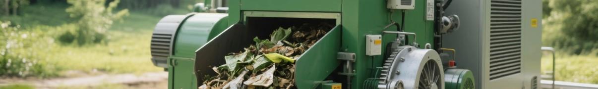 Biomass generator converting organic waste into electricity