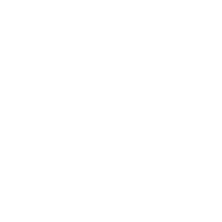 Assembly Phase of Production