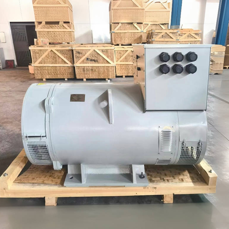 Brushless Generators