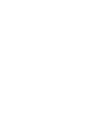 Debugging and Testing